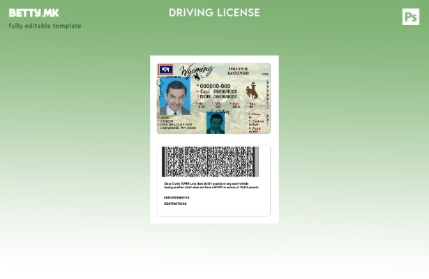 Модерен стил, шаблон за возачка дозвола од државата Вајоминг на САД